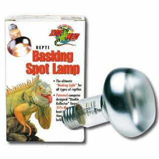 ZOOMED Repti Basking Spot Lamp 40W