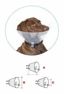 LEOPET Collare Chirurgico Elisabetta