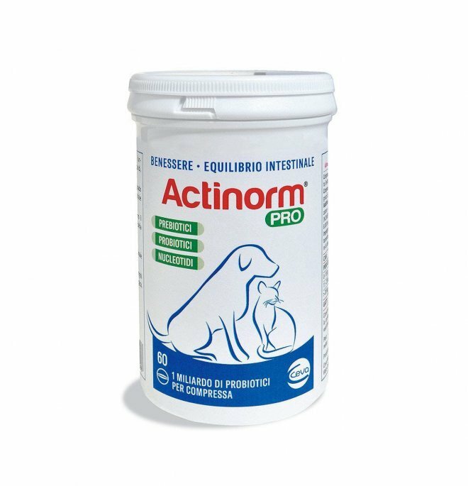 CEVA Cane e Gatto Actinorm Pro 60 compresse