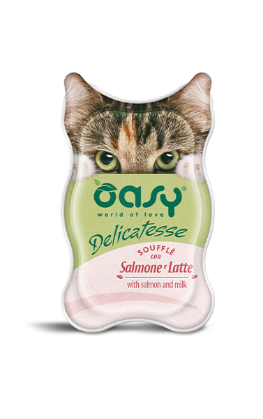 OASY Cat Delicatesse Soufflè con Salmone e Latte 18x85gr