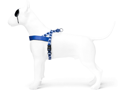 MORSO Pettorina Splash S/M