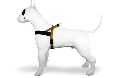 MORSO Pettorina Must Hard Maze