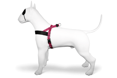 MORSO Pettorina Bubble Leo S/M