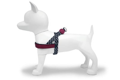 MORSO Pettorina Power Flow