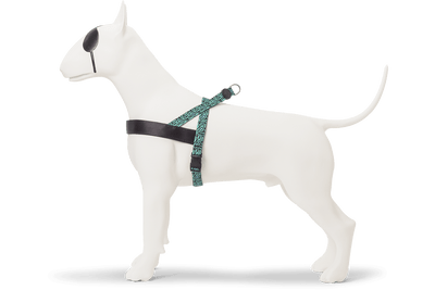 MORSO Pettorina Rage Labyrinth S/M