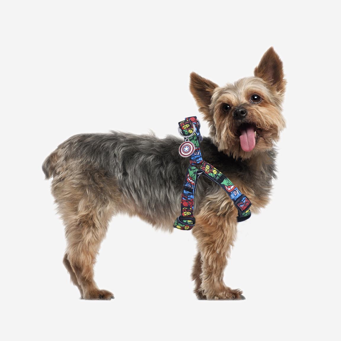 FANPETS Pettorale Marvel per Cani