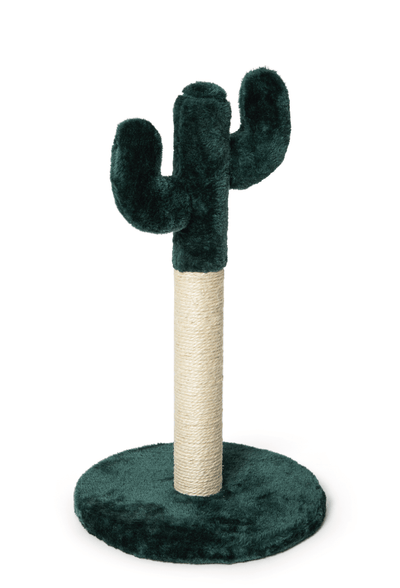 LEOPET Tiragraffi Cactus 50h