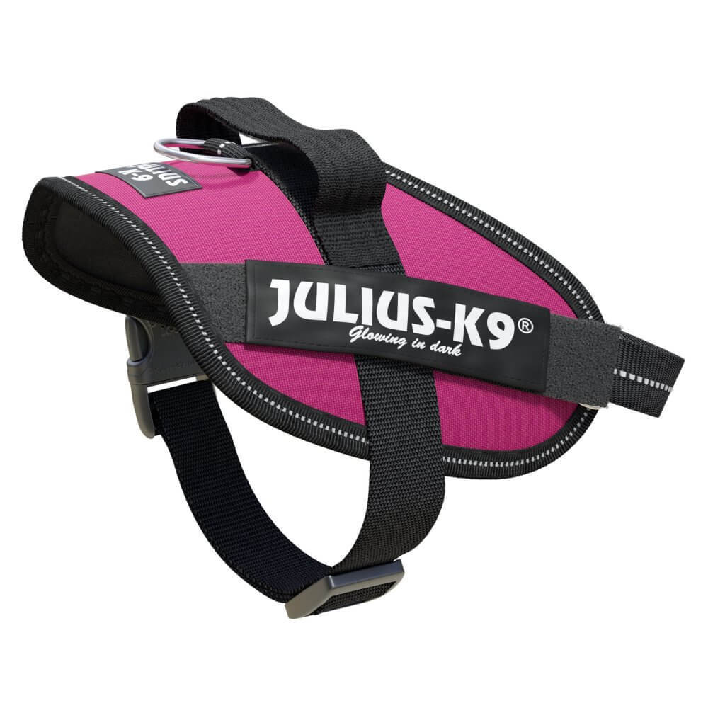 JULIUS K9 Pettorina Powerharness Mini Fucsia
