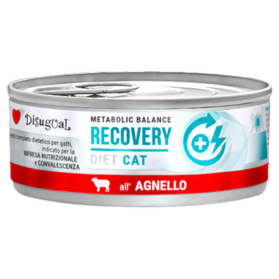 DISUGUAL Cat Recovery Patè all'Agnello 85gr