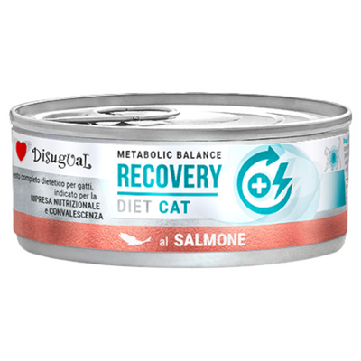 DISUGUAL Cat Recovery Patè al Salmone 85gr