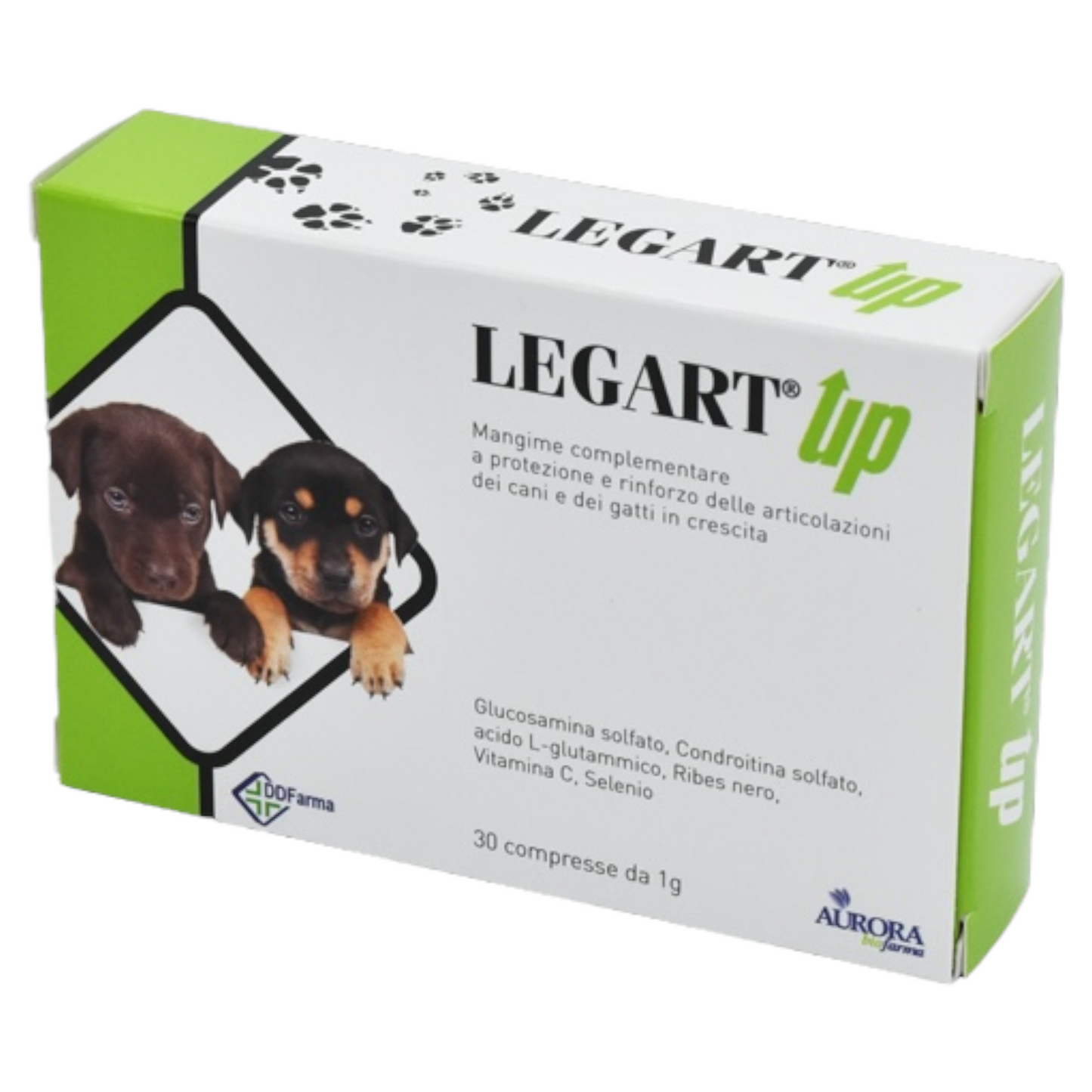 AURORA Legart Up Cane e Gatto 30cpr