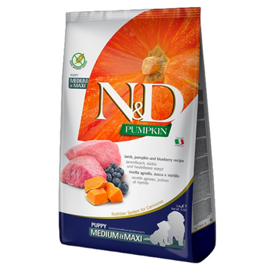FARMINA N&D Cane Pumpkin GF Medium/Maxi Puppy - Agnello, Zucca e Mirtillo 12Kg