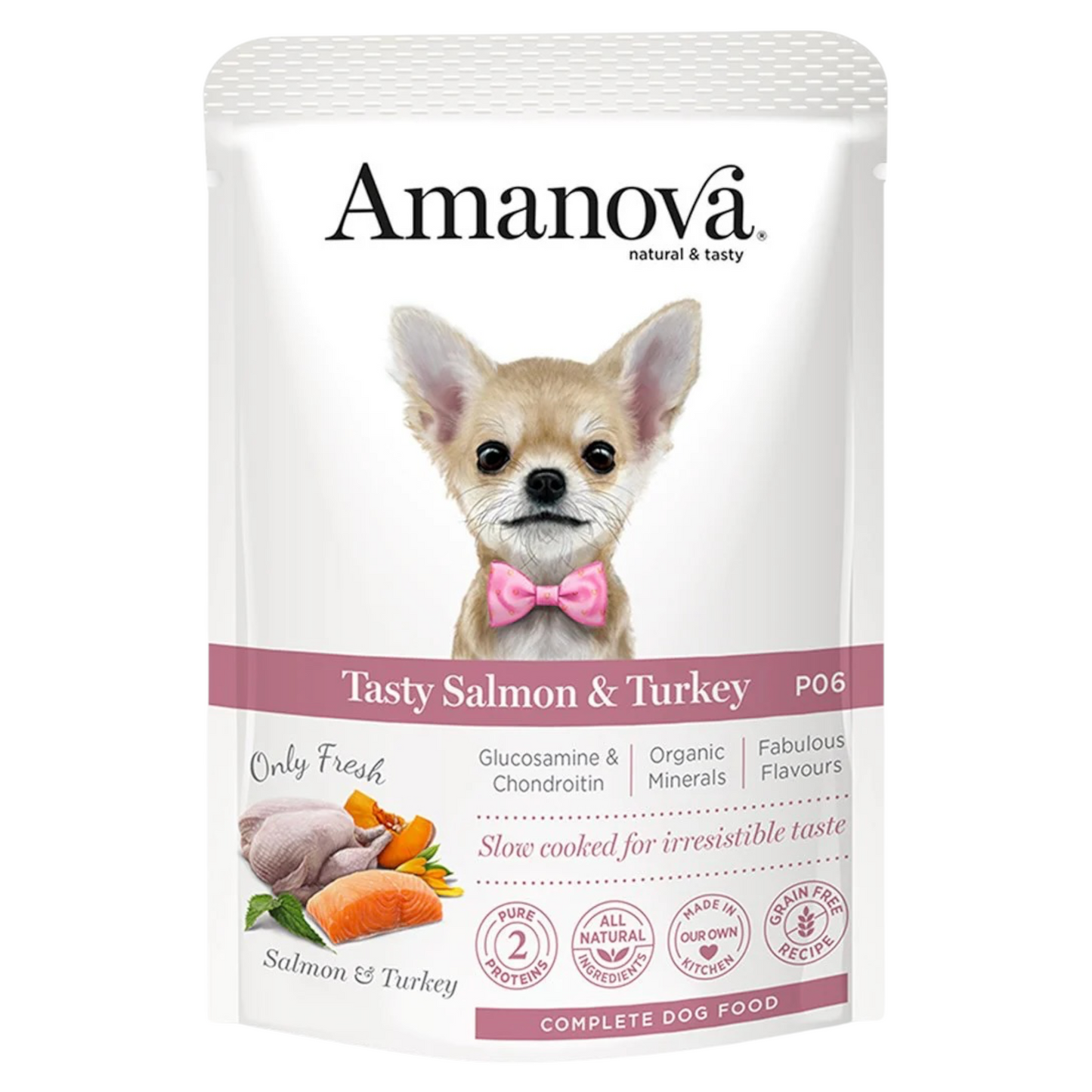 AMANOVA Cane Patè al Salmone e Tacchino 100gr