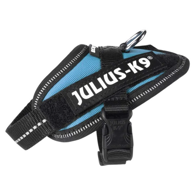 JULIUS K9 Pettorina Powerharness Baby 2 Azzurro