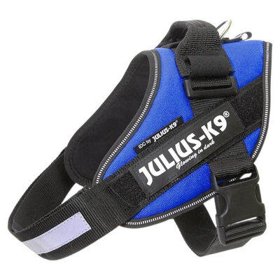 JULIUS K9 Pettorina Powerharness Taglia 0 Blu
