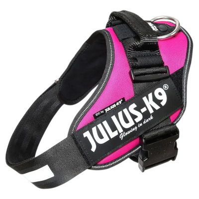 JULIUS K9 Pettorina Powerharness Taglia 2 Fucsia