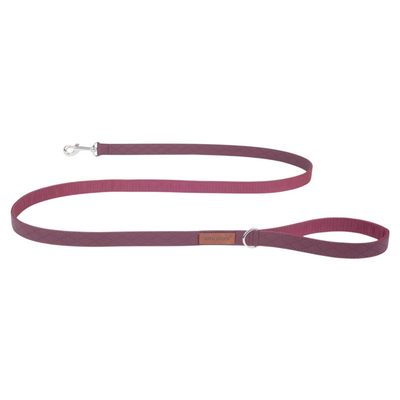 AMIPLAY Guinzaglio LINCOLN-CAMBRIDGE Borgogna