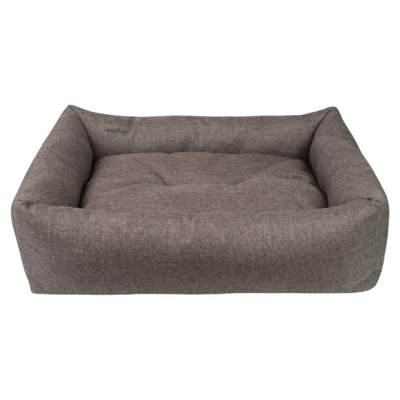 AMIPLAY Cuccia Palermo Marrone