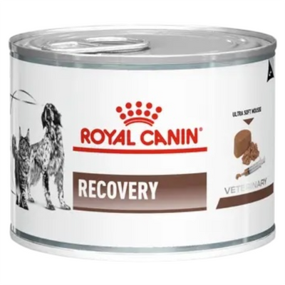 ROYAL CANIN Veterinary Recovery Cane e Gatto 195Gr
