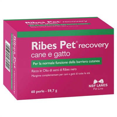 NBF LANES Ribes Pet Recovery 60 Perle