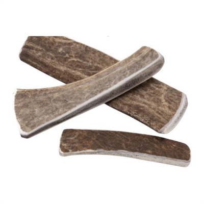 LEOPET Corna di Daino