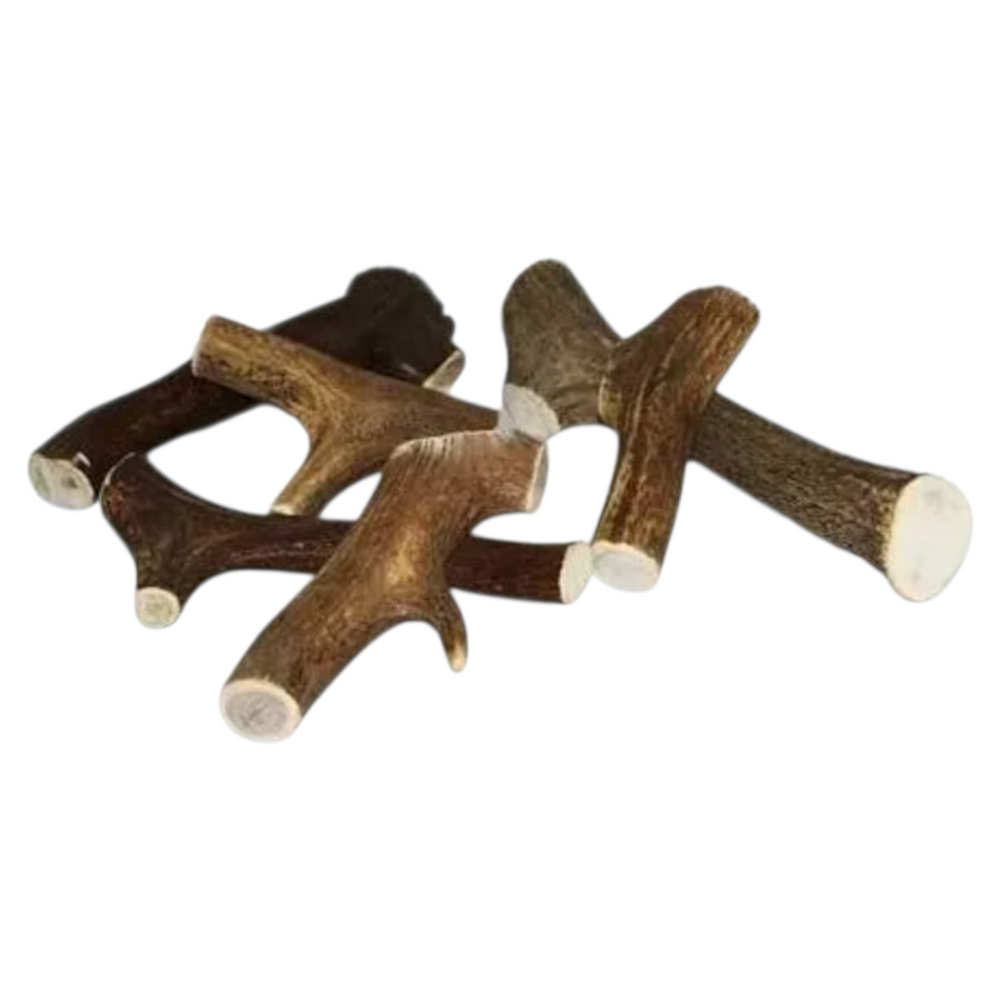 LEOPET Corna di Cervo Chiusa