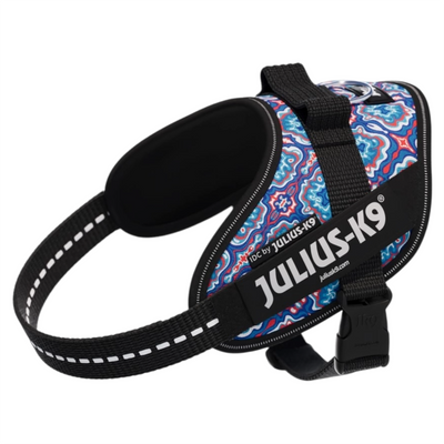 JULIUS K9 Pettorina Powerharness Mini Mini Blue Spirit