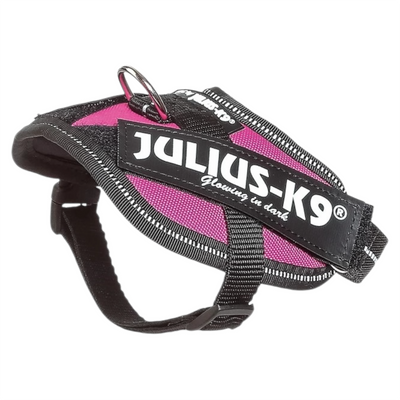 JULIUS K9 Pettorina Powerharness Baby 2 Fucsia