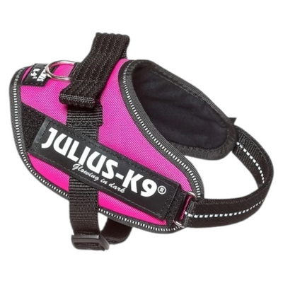 JULIUS K9 Pettorina Powerharness Mini Fucsia