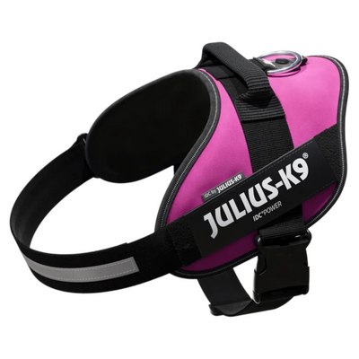 JULIUS K9 Pettorina Powerharness Taglia 1 Fucsia