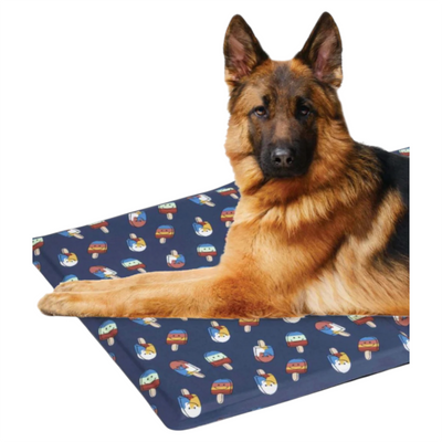 LEOPET Tappetino Refrigerante Gelati