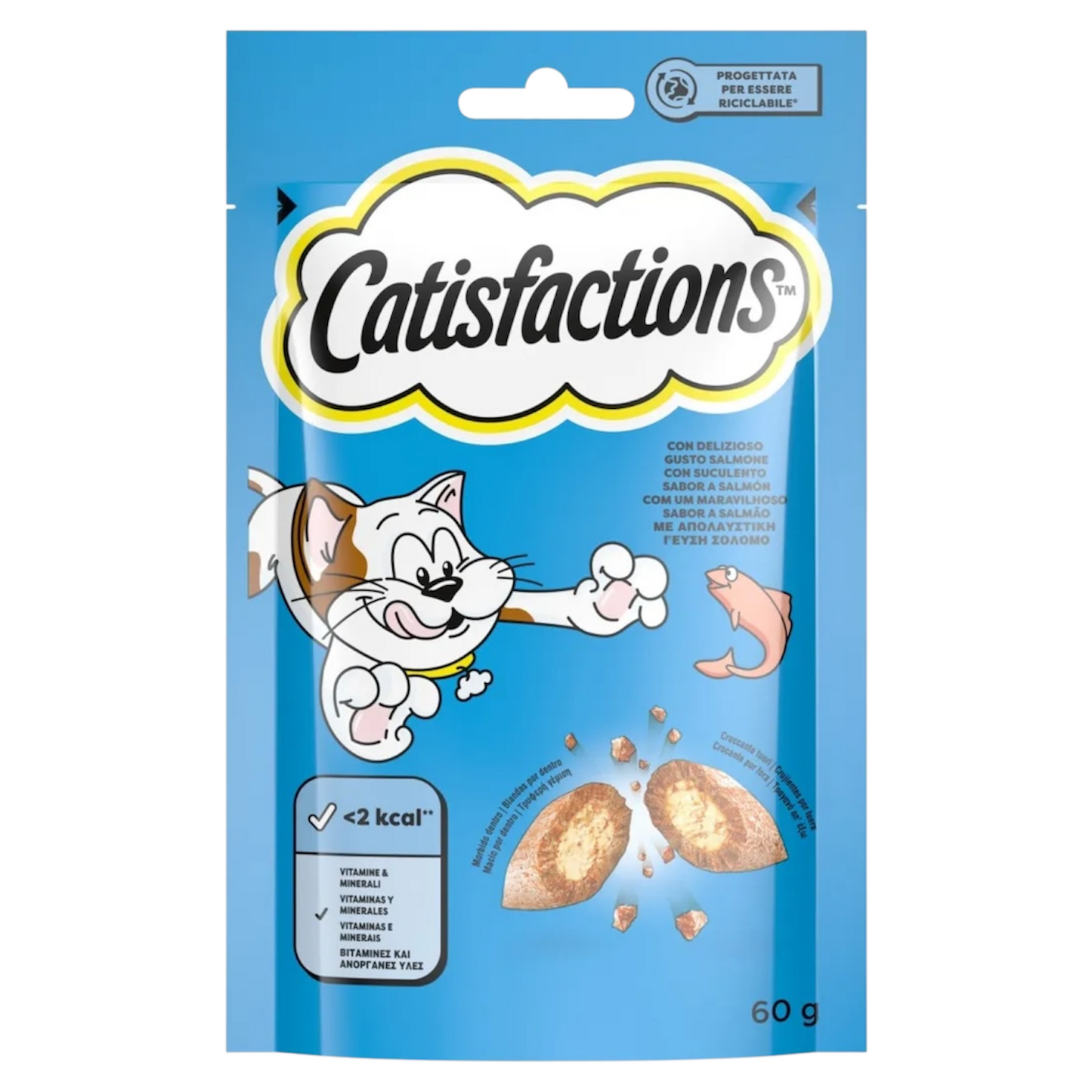 CATISFACTIONS Crunchy al Salmone 60gr