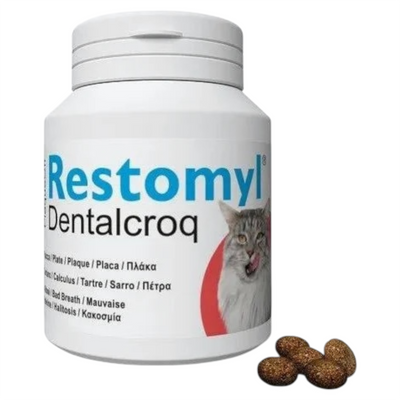 INNOVET Restomyl Dentalcroq Gatto 60gr