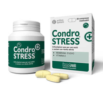 INNOVET CondroStress Cane 60 cpr
