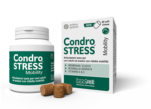 INNOVET CondroStress Mobility Cane 90 cpr