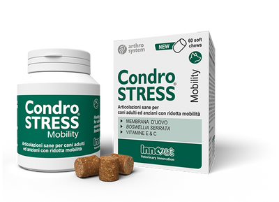 INNOVET CondroStress Mobility Cane 90 cpr