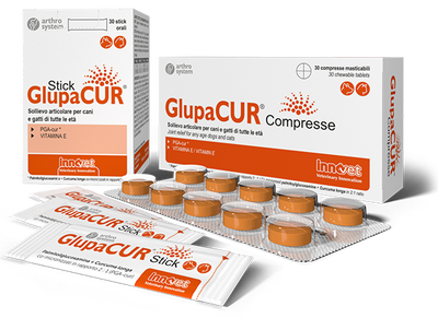 INNOVET Glupacur Cane & Gatto 30 Stick