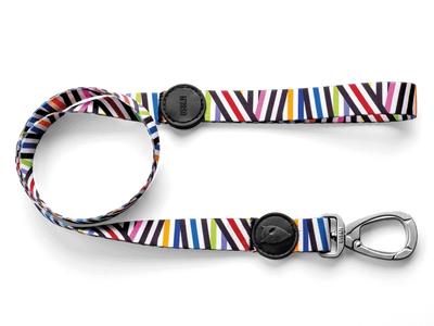 MORSO Guinzaglio Spaghetti S