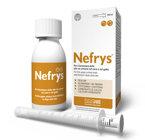 INNOVET Nefrys Cane & Gatto 100ml
