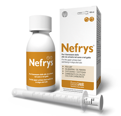 INNOVET Nefrys Cane & Gatto 100ml