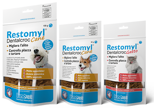 INNOVET Restomyl Dentalcroc Dog 60gr