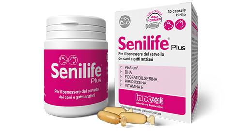 INNOVET Senilife Plus Cane & Gatto 30cpr