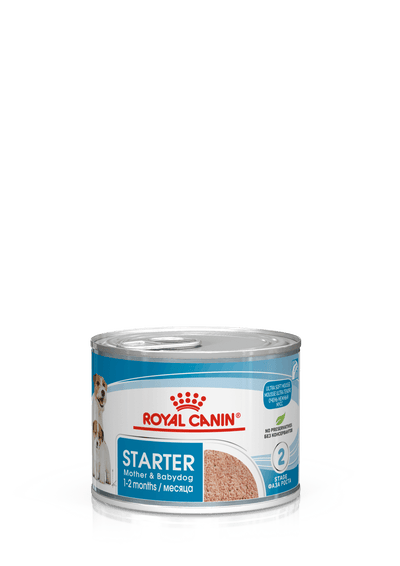 ROYAL CANIN Starter Mousse 195Gr