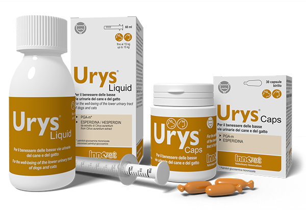 INNOVET Urys Caps Cane & Gatto 30 cpr