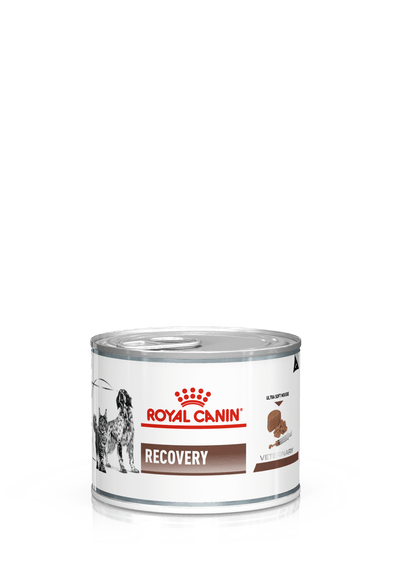 ROYAL CANIN Veterinary Cat Intestinal Kitten 195Gr