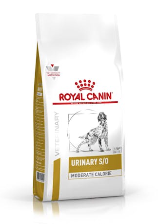 ROYAL CANIN Veterinary Dog Urinary S/O Moderate Calorie 6,5Kg