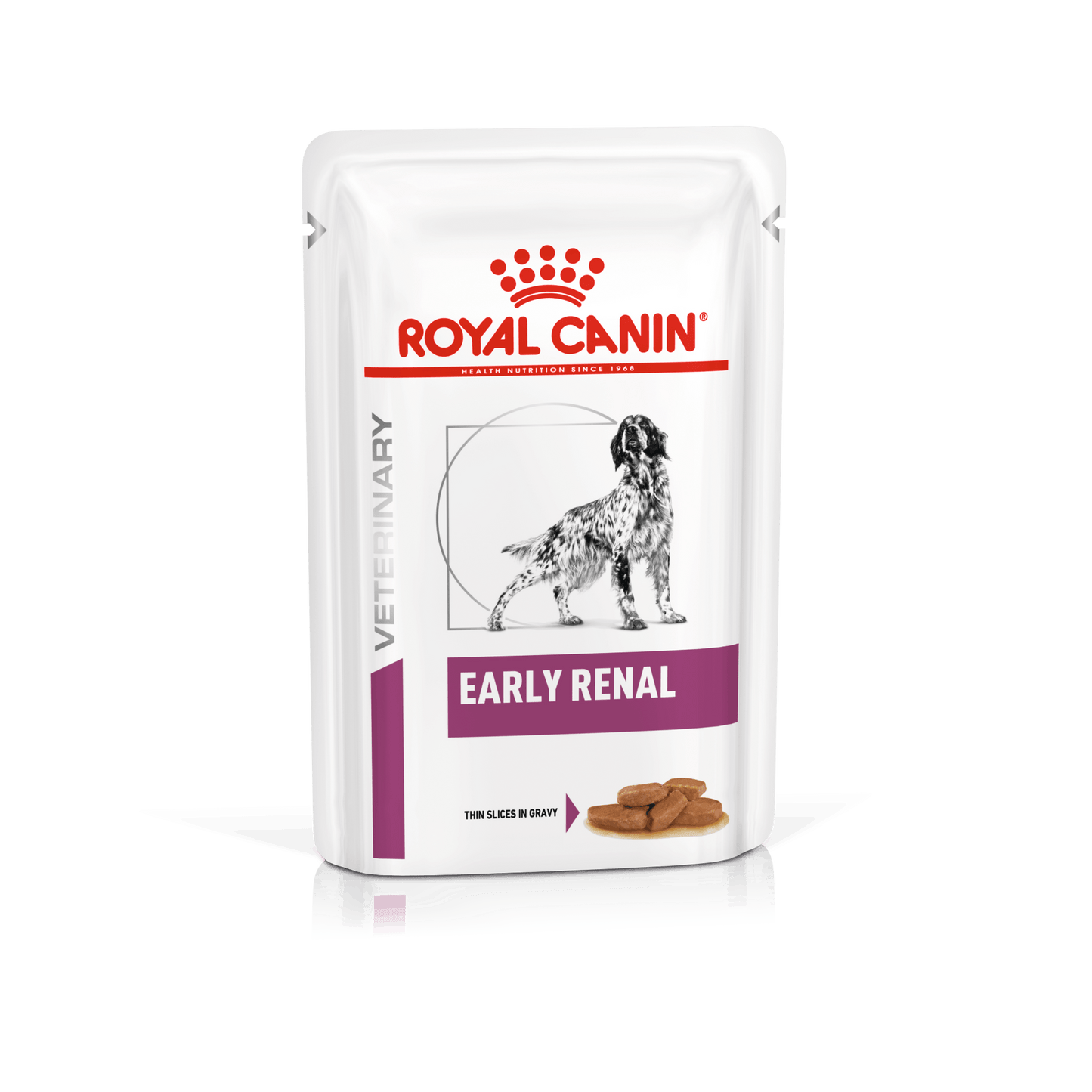 ROYAL CANIN Veterinary Dog Early Renal 12x100gr (Pack)