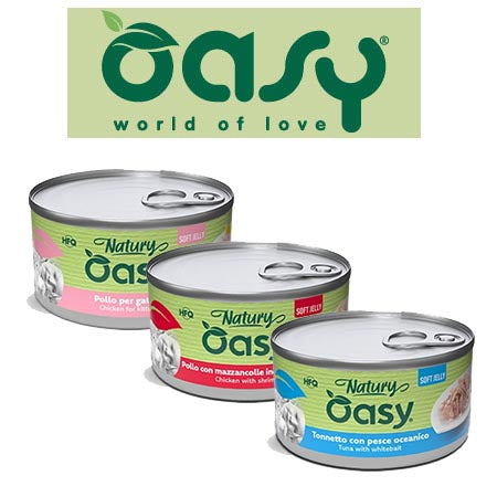 Oasy