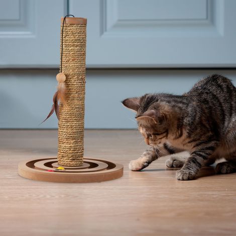 Gatto - Tiragraffi