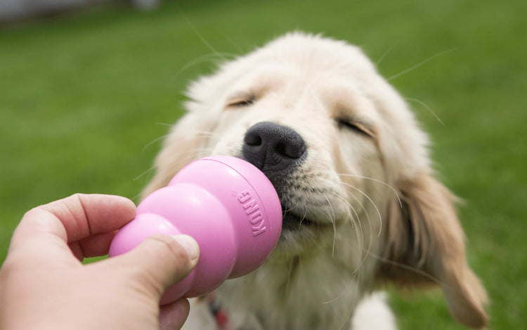 Giochi Puppy